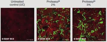 Proteasyl